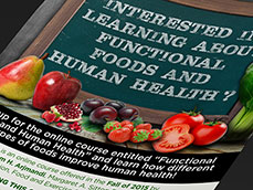 FSU Functional Foods & Human Healthy Flyer